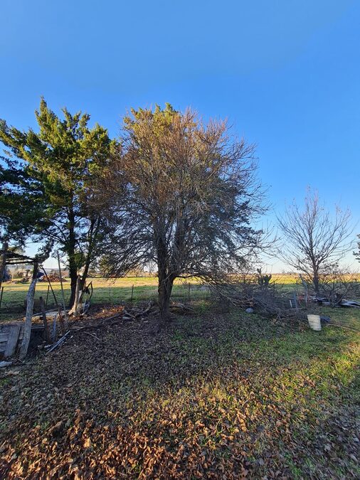 Quinta con 7500 mt2 La Picada.