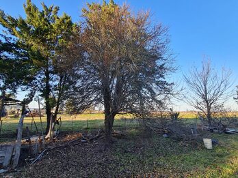 Quinta con 7500 mt2 La Picada.