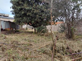 VENDO TERRENO ZONA EX HIPÓDROMO PARANÁ