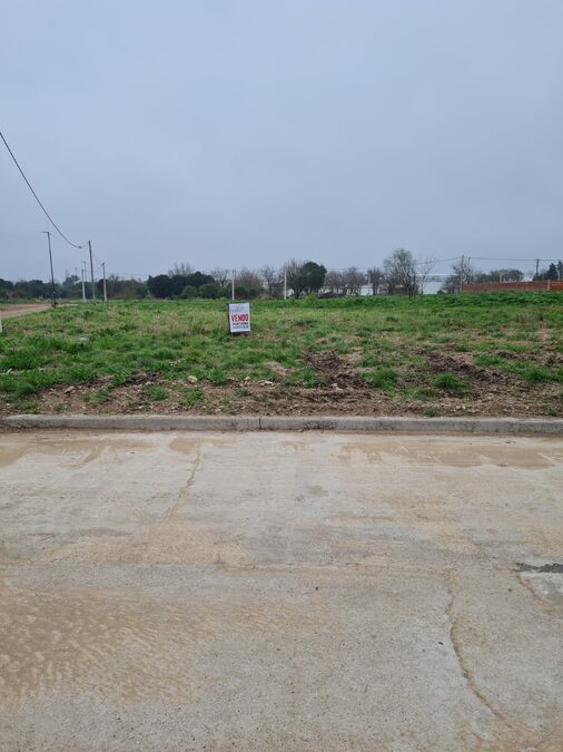 Lote en Venta Altos del Este (San Benito)