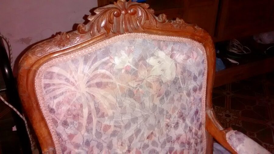 Juego de Living Antiguo