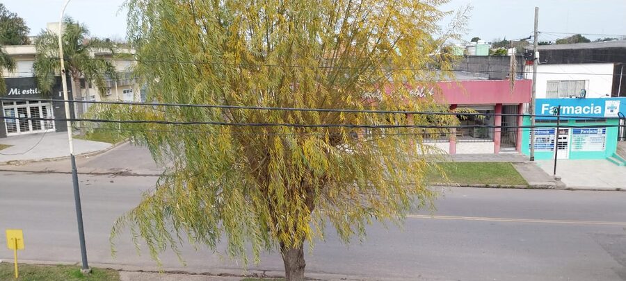VENDO DEPARTAMENTO PLANTA ALTA MUY LINDA ZONA ,TRANQUILA Y COMERCIAL