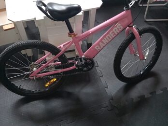 VENDO HERMOSA BICICLETA DE NIÑA RODADO 20