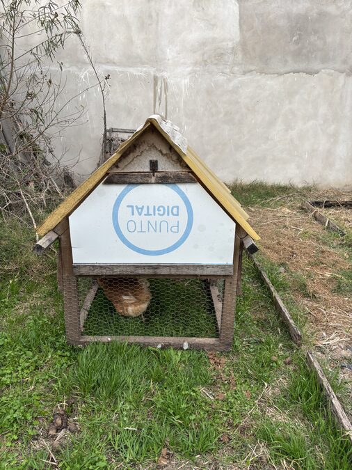 Gallinero