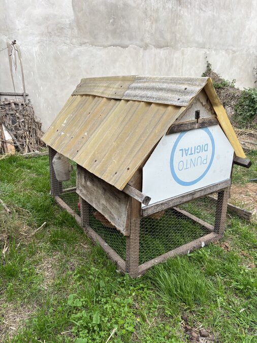 Gallinero