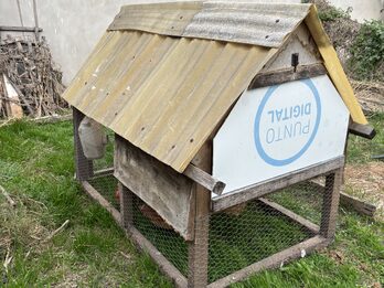 Gallinero
