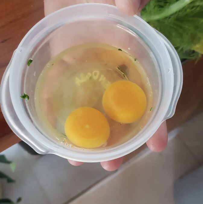 Gallinero