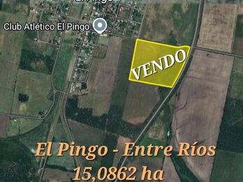 VENDO CAMPO EN EL EJIDO URBANO EN EL PINGO