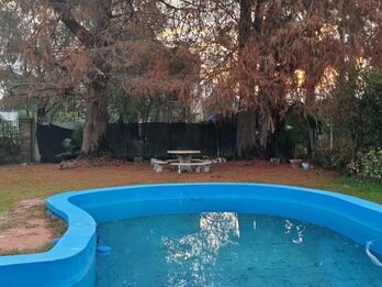 Vendo quinta Sauce montrul