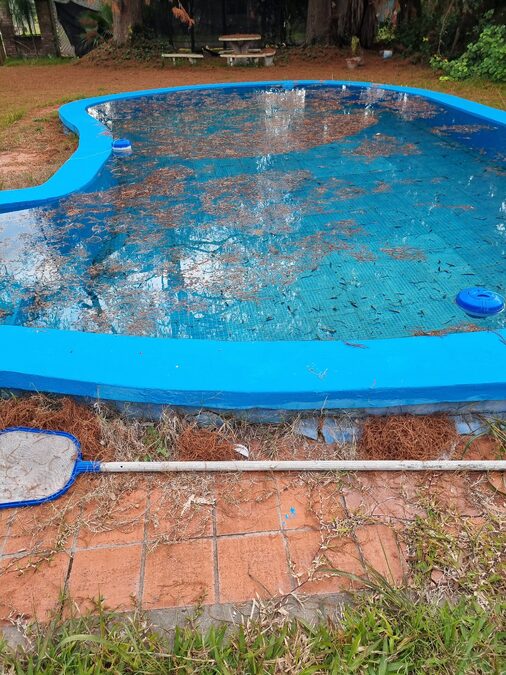 Vendo quinta Sauce montrul