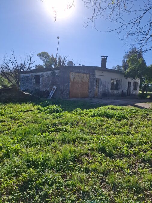 DOS HECTAREAS Y MEDIA ZONA PADRE PASCUAL UVA