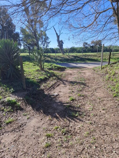 DOS HECTAREAS Y MEDIA ZONA PADRE PASCUAL UVA
