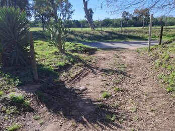 DOS HECTAREAS Y MEDIA ZONA PADRE PASCUAL UVA