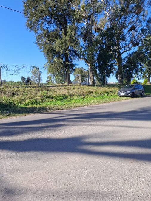 DOS HECTAREAS Y MEDIA ZONA PADRE PASCUAL UVA