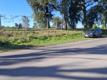 DOS HECTAREAS Y MEDIA ZONA PADRE PASCUAL UVA