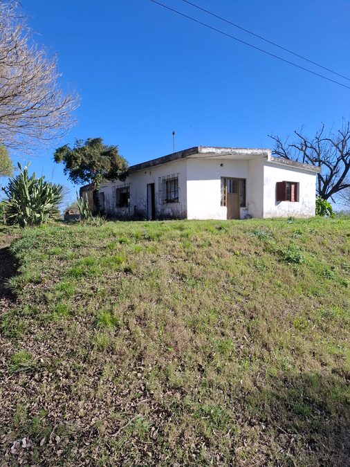 DOS HECTAREAS Y MEDIA ZONA PADRE PASCUAL UVA