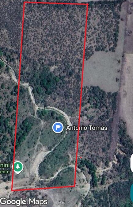 Campo de 8 Has 66 áreas en Antonio Tomás