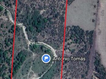 Campo de 8 Has 66 áreas en Antonio Tomás