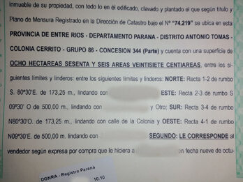 Campo de 8 Has 66 áreas en Antonio Tomás