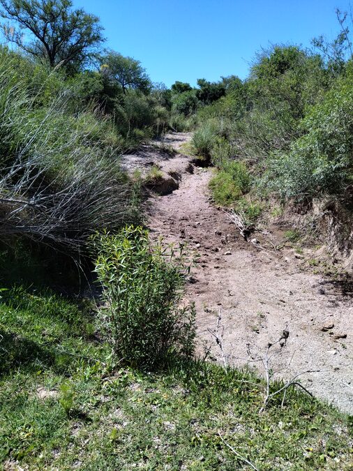 Campo de 8 Has 66 áreas en Antonio Tomás