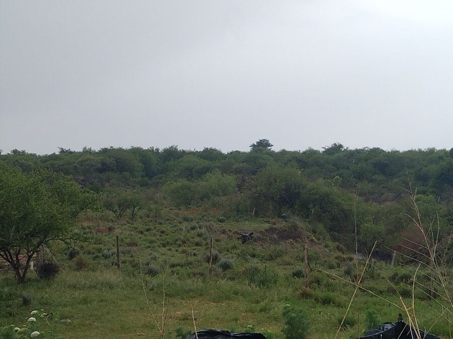 Campo de 8 Has 66 áreas en Antonio Tomás