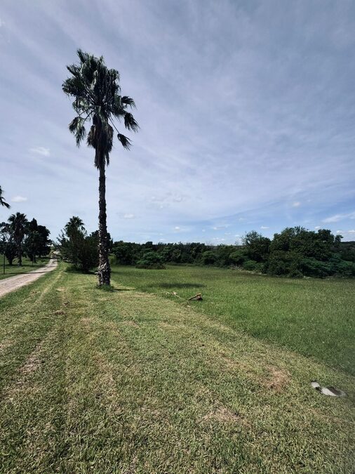 LOTES EN VENTA - COLINAS DEL GOLF