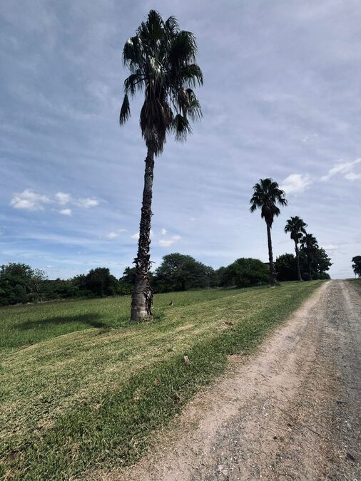LOTES EN VENTA - COLINAS DEL GOLF