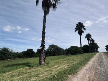 LOTES EN VENTA - COLINAS DEL GOLF