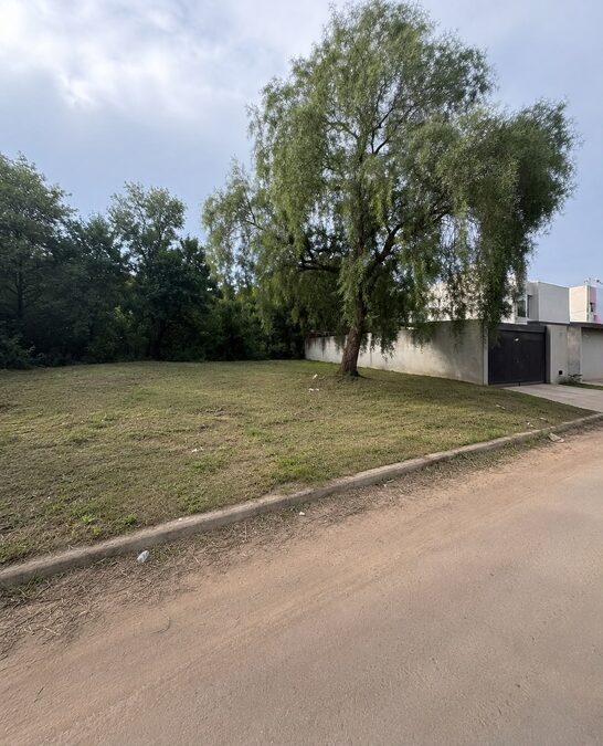 VENDO TERRENO ZONA NORTE - CALLE LOS ROBLES