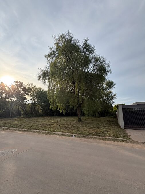 VENDO TERRENO ZONA NORTE - CALLE LOS ROBLES