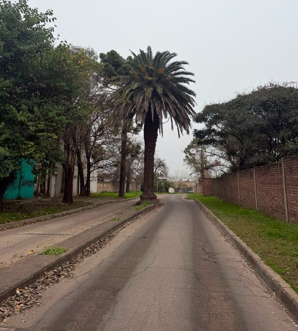 VENDO TERRENO - LOTEO LOS LAPACHOS.