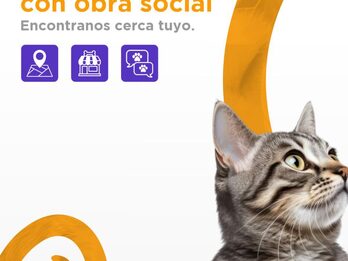 MASCOTAS-OBRA SOCIAL