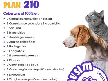 MASCOTAS-OBRA SOCIAL