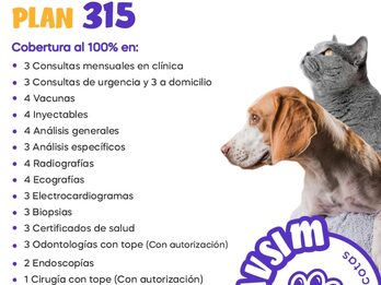 MASCOTAS-OBRA SOCIAL