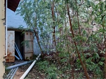 CASA A RECICLAR EN PLENA CIUDAD - IRIGOYEN 136