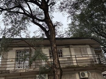 En alquiler planta alta tres dormitorios , zona  La Baxada!