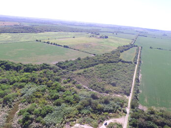 Venta de cantera. 20 Hectáreas.