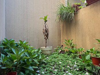Vendo Casa Moderna en Oro Verde!