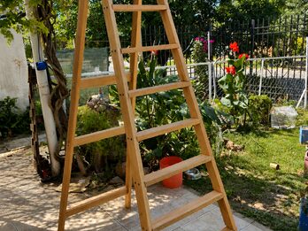 Vendo Escaleras Familiares grandes y chicas
