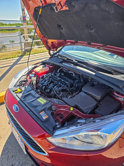 Ford Focus S 1.6 2018