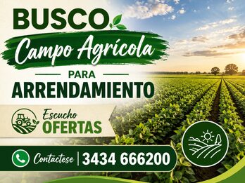 BUSCO CAMPO AGRICOLA PARA ALQUILAR!!!