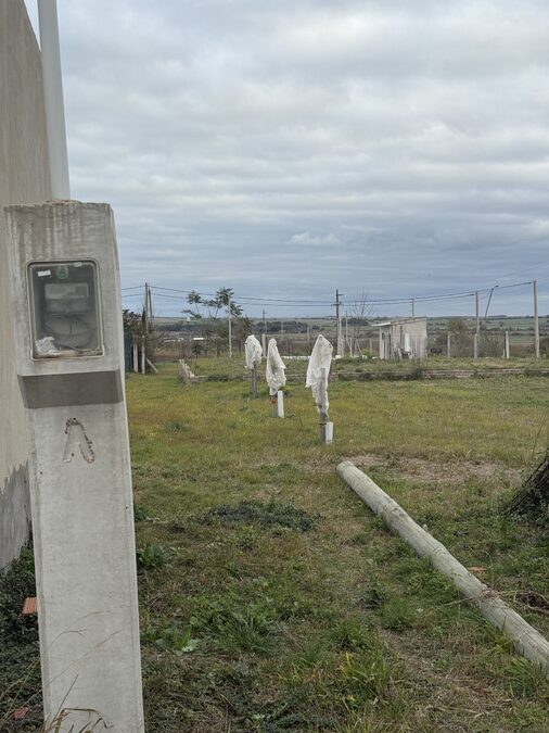 Líquido Terreno en Colonia Ensayo