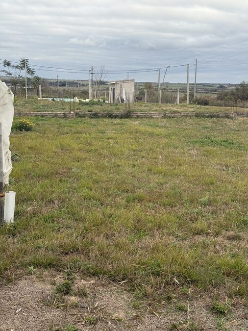 Líquido Terreno en Colonia Ensayo
