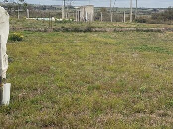 Líquido Terreno en Colonia Ensayo