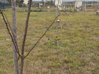 Líquido Terreno en Colonia Ensayo