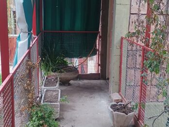 DEPARTAMENTO EN VENTA - LOMA DEL MIRADOR 1 (APTO CREDITO)