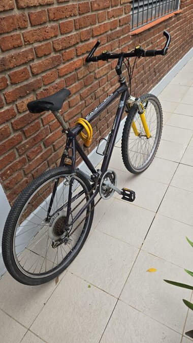 BICICLETA RODADO 26