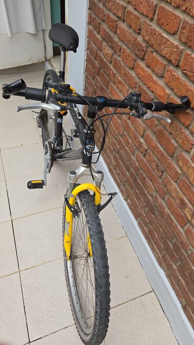BICICLETA RODADO 26