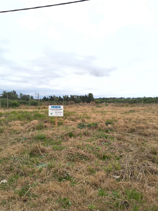 🌱 VENTA de TERRENO - LAS MARIMOÑAS, PARANÁ 🌲