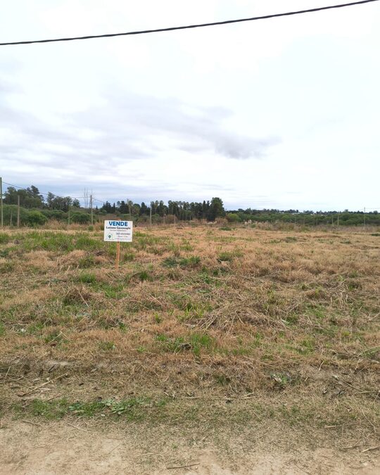 🌱 VENTA de TERRENO - LAS MARIMOÑAS, PARANÁ 🌲